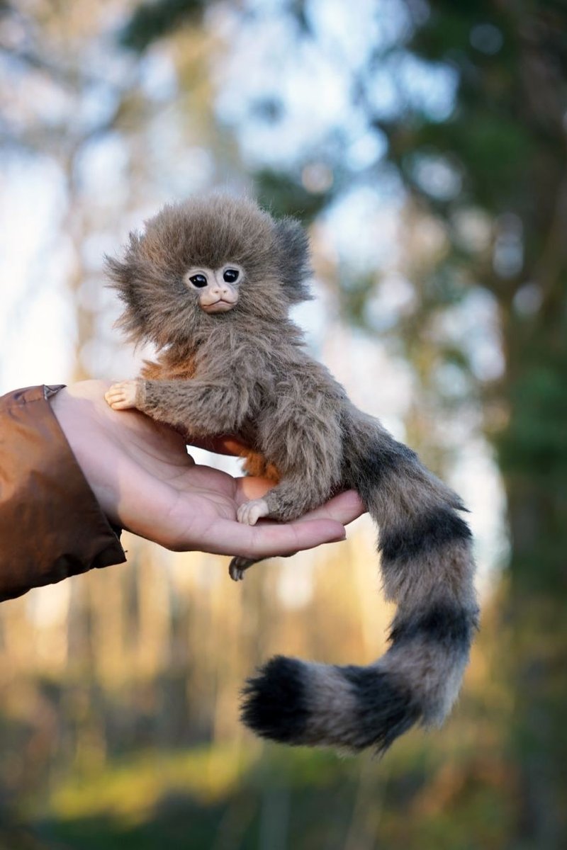 Monkey Marmoset travel doll guardian accessories animal realistic toy - 公仔模型 - 其他材質 多色