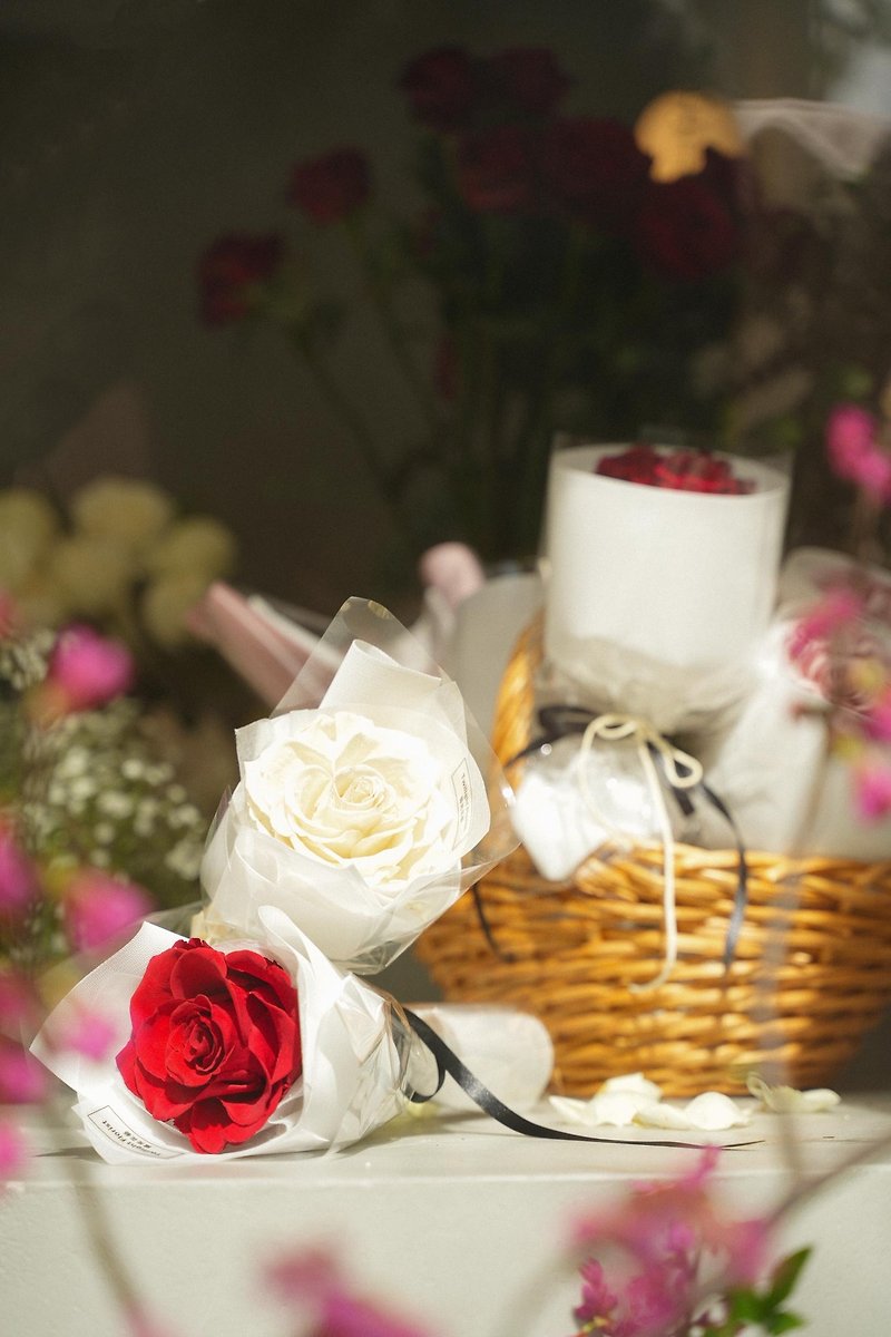White-Single Everlasting Flower Rose-Ecuador - จัดดอกไม้/ต้นไม้ - พืช/ดอกไม้ ขาว