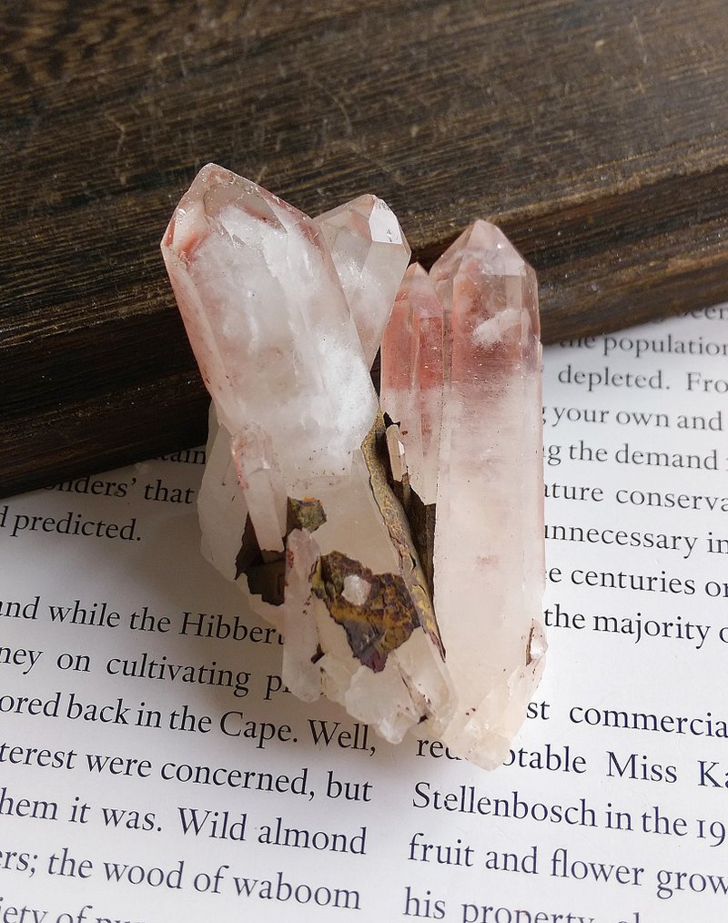 Red Phantom Quartz 巴西產地 紅塔山水晶 小晶簇 天然礦石 原礦 - 擺飾/家飾品 - 其他材質 