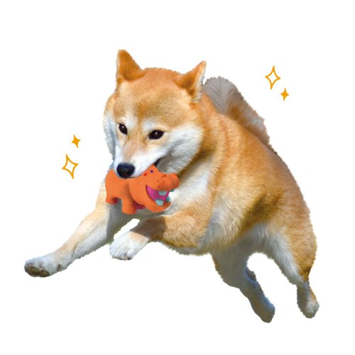 DoggyMan 日本寵物國民品牌 【日本DoggyMan】一起玩耍吧!狗狗的幸福時光~犬用吱吱乳膠玩具
