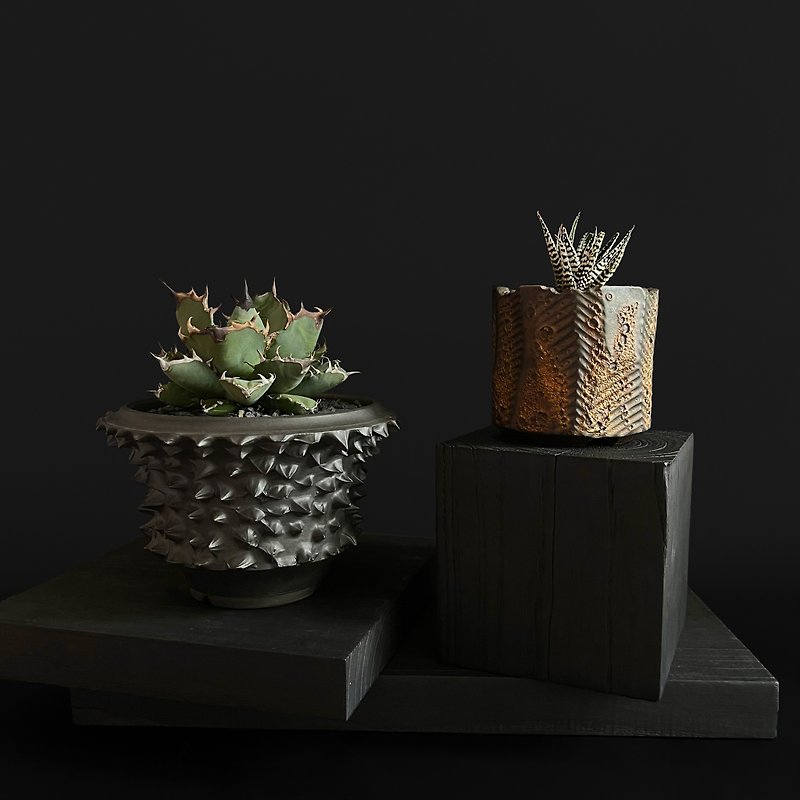 FLYER black solid wood trend root plant display stand incense burner base home decoration ornaments - ของวางตกแต่ง - ไม้ สีดำ