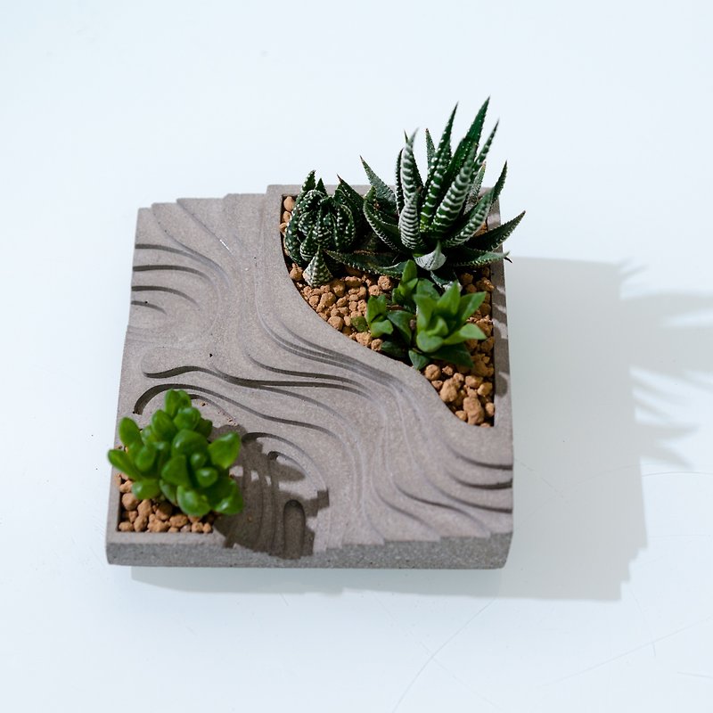 セメントベースモデル-ユリ科 - 観葉植物 - コンクリート グレー