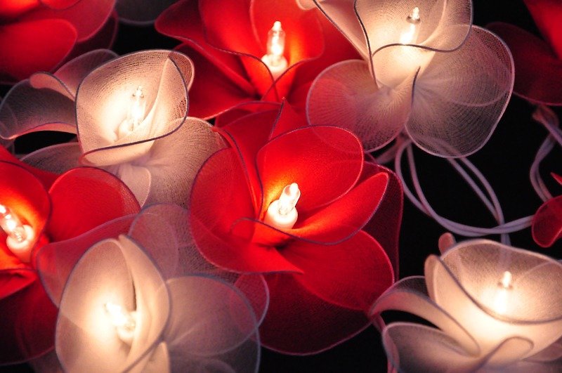 20 White & Red Flower String Lights for Home Decoration,Wedding,Party,Bedroom,Patio and Decoration - 燈具/燈飾 - 紙 