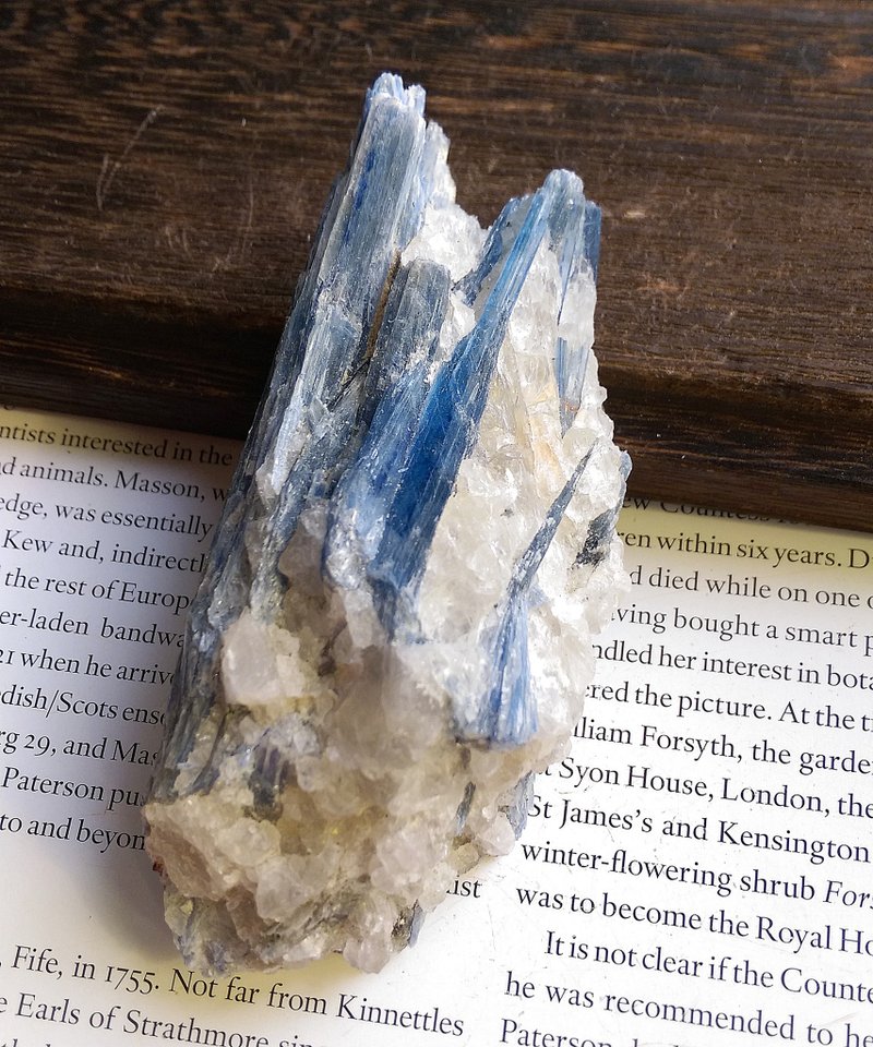 Kyanite 安徽產地 藍晶石 石英共生礦 天然礦石 原礦 - 擺飾/家飾品 - 其他材質 