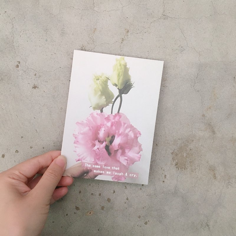 The same love makes me laugh and cry. Platycodon flower postcard, daily card, flower photography. - Cards & Postcards - Paper 