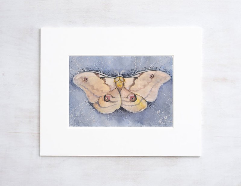 Moth Painting Night Butterfly Original Art Insect Watercolor Hand-Painted - 海報/掛畫/掛布 - 紙 透明