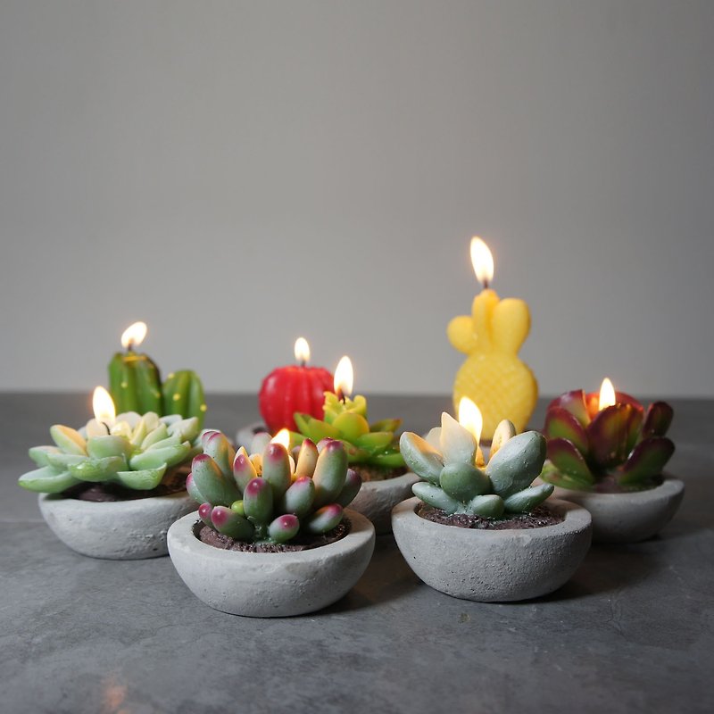 植物盆栽蠟燭含驅蚊油擺設套裝 - 香氛蠟燭/燭台 - 水泥 多色