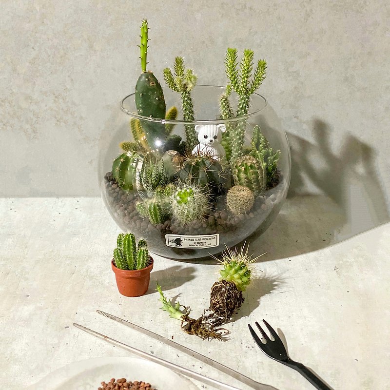 仙人掌與小熊Cactus pot - 植栽/花藝 - 植物．花 