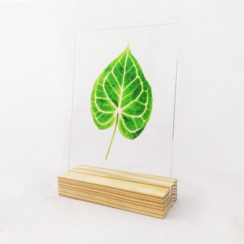 植感擺飾 - 擺飾/家飾品 - 木頭 綠色
