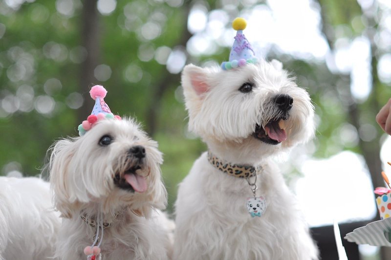 A birthday hat for pet cats and dogs - ชุดสัตว์เลี้ยง - ผ้าฝ้าย/ผ้าลินิน หลากหลายสี
