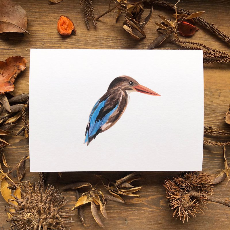 鳥鳥系列 白胸翡翠鳥 明信片 - 心意卡/卡片 - 紙 咖啡色
