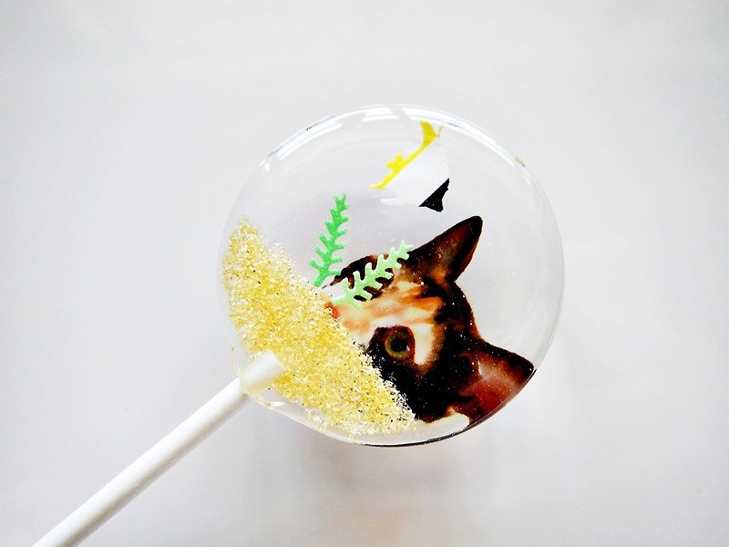 Creative Lollipop-Kitten Wants to Eat Fish (5pcs/box) - Snacks - Fresh Ingredients Transparent