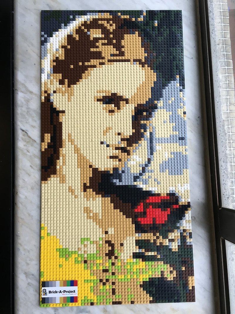 40cm*80cm Emma Watson portrait lego-like brick mosaic - ภาพวาดบุคคล - พลาสติก 