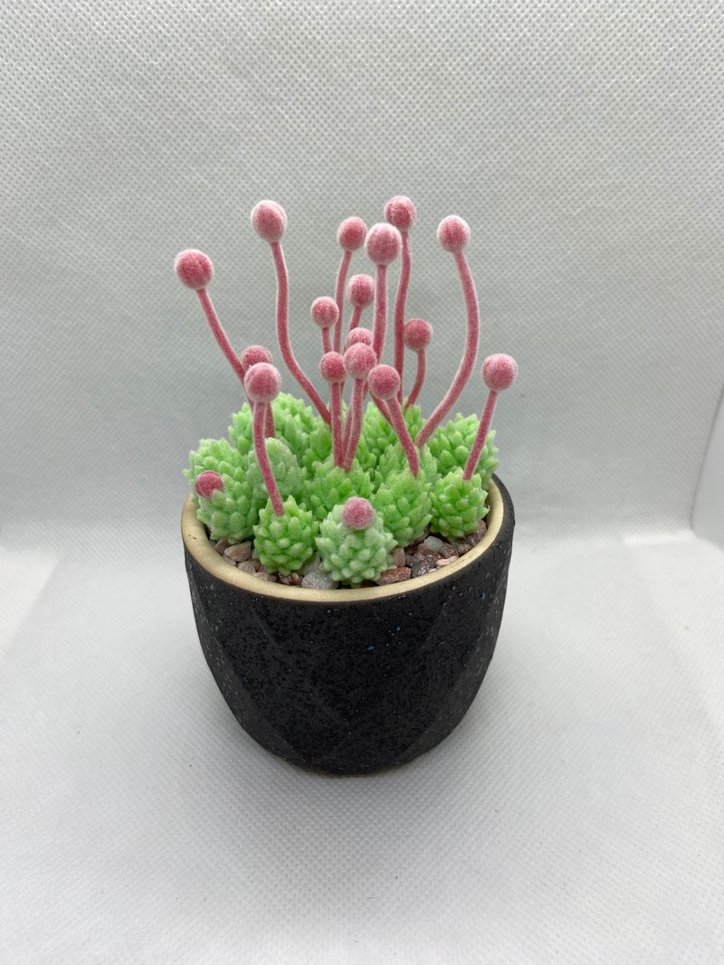 仿真多肉盆栽-瑞典魔南/黏土手作 - 植栽/盆栽 - 植物．花 綠色
