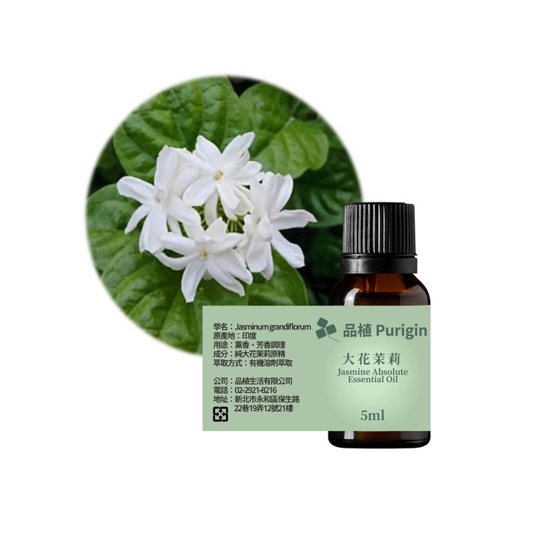 Planting Purigin Big Flower Jasmine (Indian Jasmine) Original Essence - น้ำหอม - น้ำมันหอม 