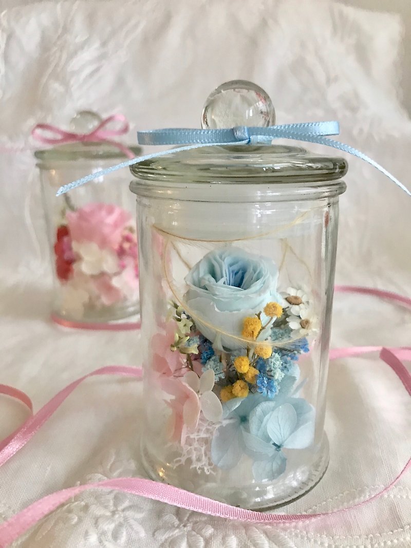Masako 不凋玫瑰玻璃花罐 清爽水藍色 - 乾燥花/永生花 - 植物．花 
