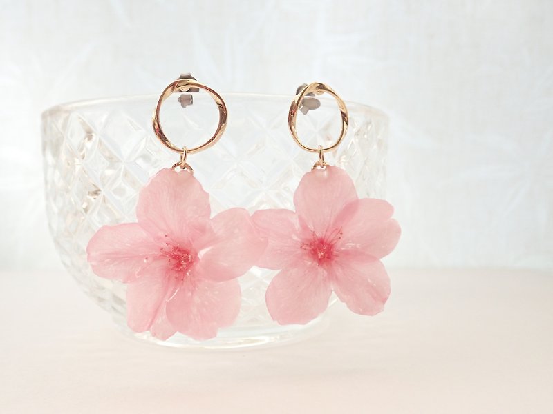 Real cherry blossom pierced earrings - Earrings & Clip-ons - Plants & Flowers Pink