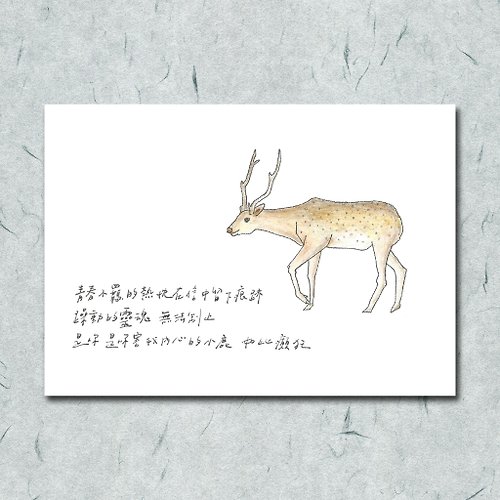一把蔥 雜燴工作室 動物與牠的詩32/ 梅花鹿/ 手繪 /卡片 明信片