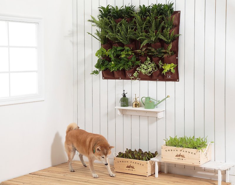 壁掛式綠牆/室內植物美化牆 - 植栽/盆栽 - 聚酯纖維 黑色