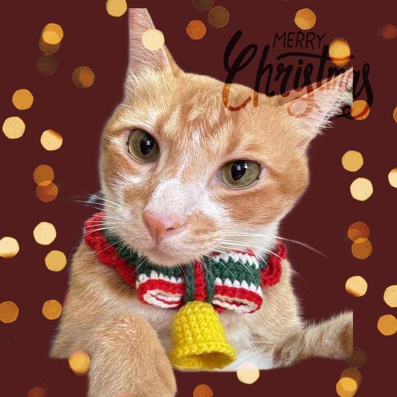 聖誕叮叮噹__毛線編織寵物領巾 - 項圈/牽繩 - 其他人造纖維 多色