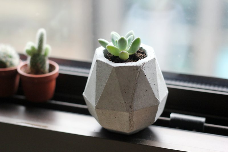 Small water drop | Cement geometric pots and flowers empty phoenix frame - Plants - Cement Gray
