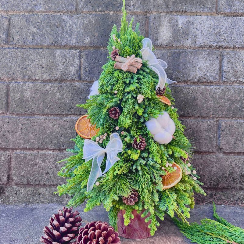 手作聖誕樹 聖誕花圈 - 植栽/花藝 - 植物．花 