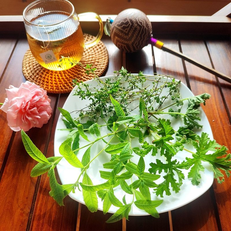 Herbal tea bags made of Lemon Verbena, Rose Geranium, Marjoram, and Peppermint - ชา - พืช/ดอกไม้ 