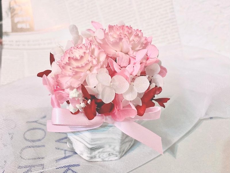 [Mother's Day Gift - Limited Edition] Carnation Small Potted Flower - Dried Flowers & Bouquets - Plants & Flowers 
