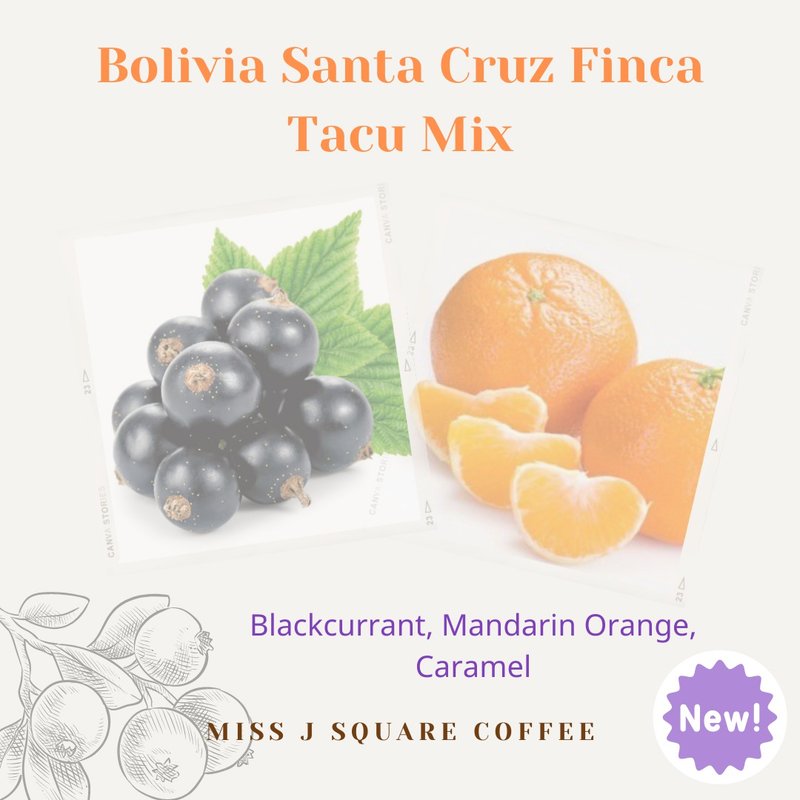 Bolivia Santa Cruz Finca Tacu Mix Washed - 咖啡/咖啡豆 - 新鮮食材 紅色