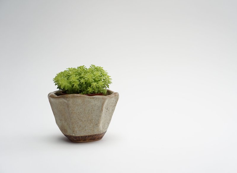 Small ceramic plant pot for cactus , handmade pottery , small pot - 植栽/盆栽 - 陶 卡其色