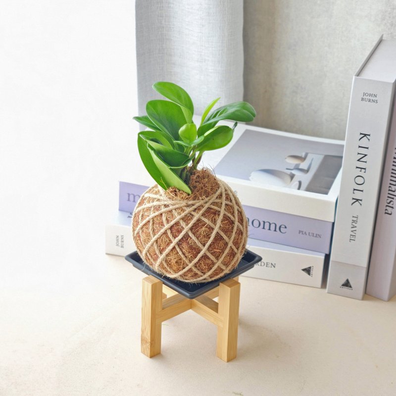 植物配件加購專區 / 提袋 立架 網繩 澆水壺 肥料盒 裝飾木片 - 盆栽/植栽 - 其他材質 