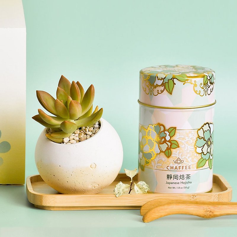Yourou X CHAFFEE Mid-Autumn Festival Joint Gift Box-20 Sets - Plants - Plants & Flowers Green
