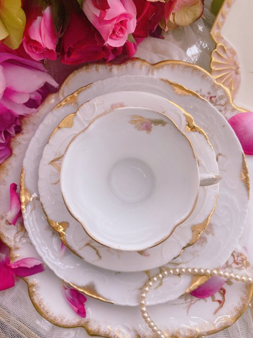 British made 1891 Victorian period hand painted carnation