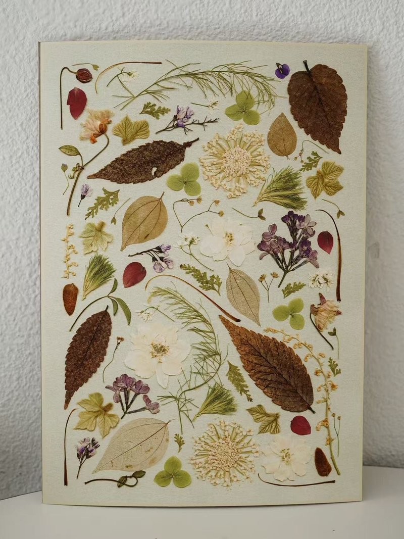 ŽIRAFA【酂白】中國宮廷服飾配色押花作品藝術微噴畫裝飾畫芯 - 海報/掛畫/掛布 - 紙 綠色