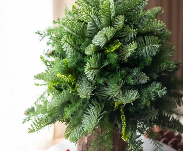 インポートされた高貴な歌のクリスマス ツリー | DIY のクリスマスの裸