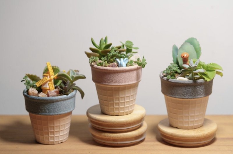冰淇淋杯多肉 - 盆栽/植栽 - 陶 