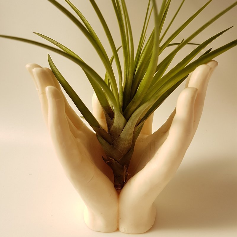 Air Plant planter - Loving hands - ตกแต่งต้นไม้ - วัสดุอื่นๆ สีเงิน
