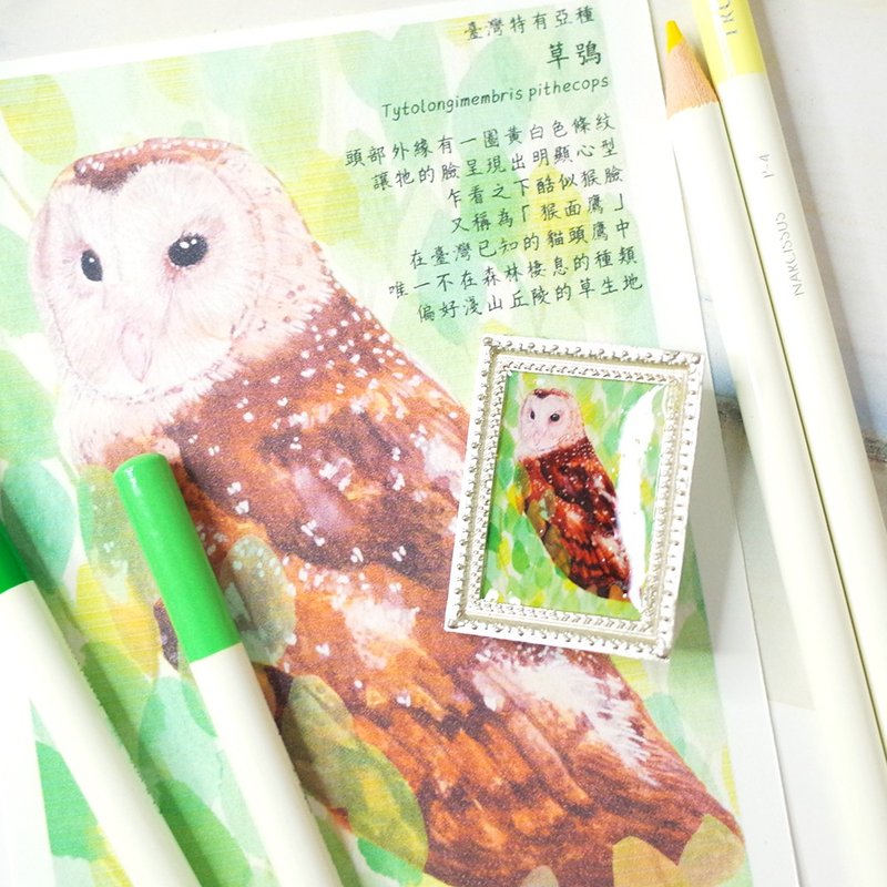 Taiwan's endemic subspecies Oriental Grass Owl mini painting pin brooch - เข็มกลัด - วัสดุกันนำ้ สีนำ้ตาล