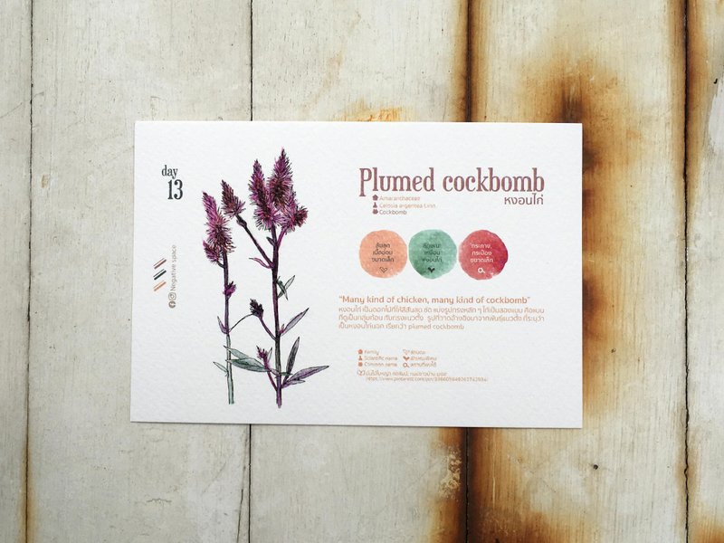 Local flowers postcard - day 13 brave your heart with joy - 卡片/明信片 - 紙 