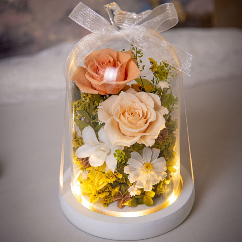 [Warmth] Forest-type white, yellow and orange preserved flowers dried flower glass cover night light Valentine's Day birthday - โคมไฟ - พืช/ดอกไม้ สีเหลือง