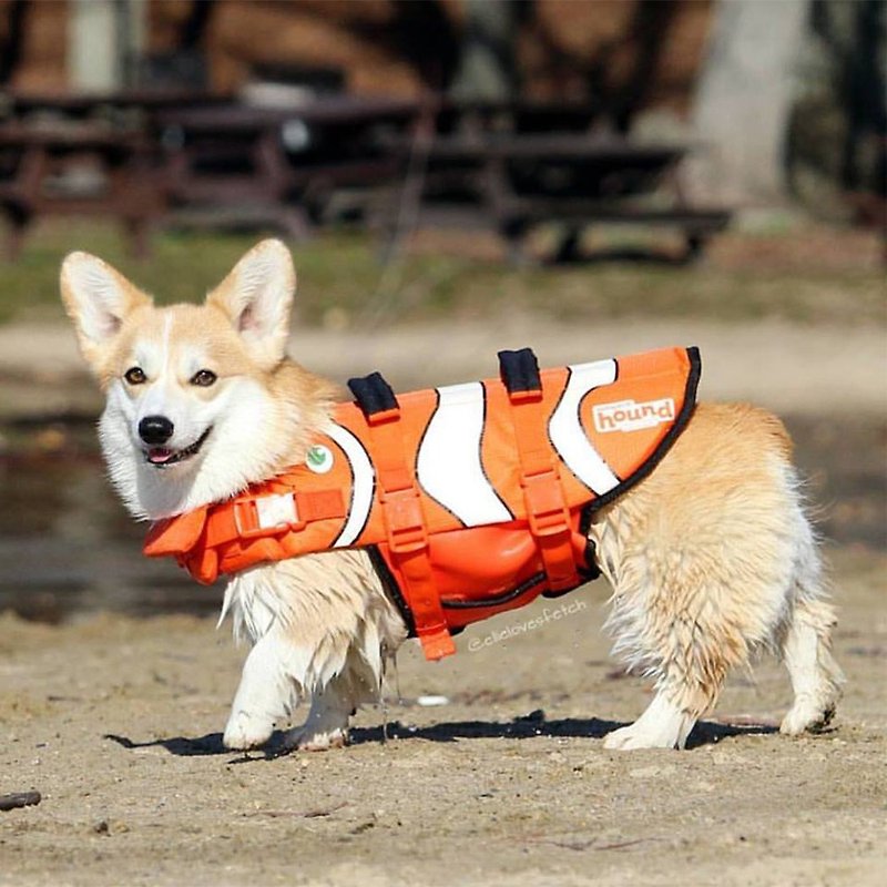 Dog swimming savior and big wind waves are not afraid of clown fish tear life jacket - ชุดสัตว์เลี้ยง - วัสดุอื่นๆ 