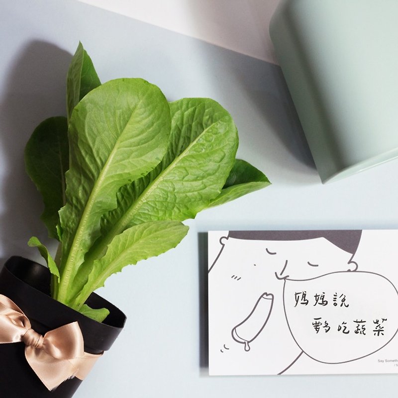 Sweet Romaine Lettuce Potted Plant_Gift - ตกแต่งต้นไม้ - พืช/ดอกไม้ 