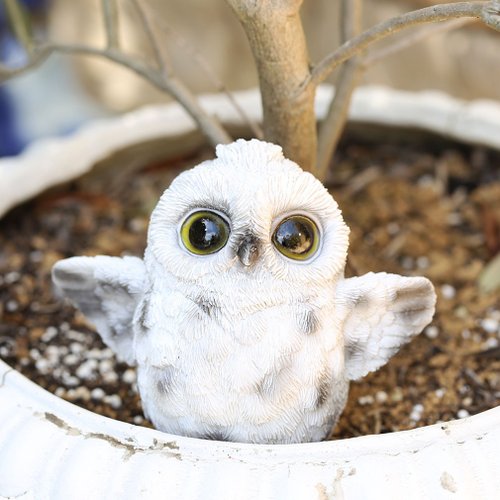 フクロウ   置物 Amazon.co.jp: [デバリエ] mo07 フクロウの置物 梟 レジン製 ギフト