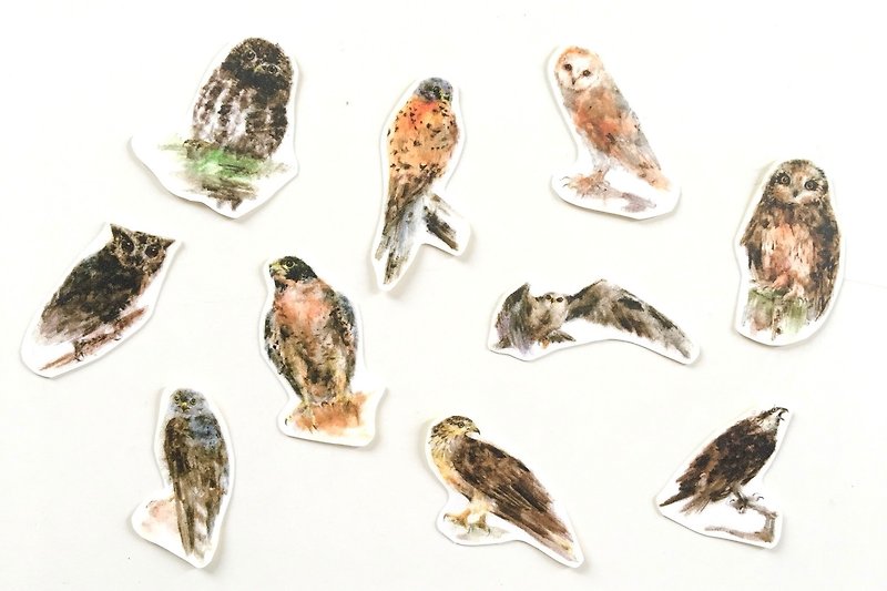 Bird Sticker Group F - Stickers - Paper 