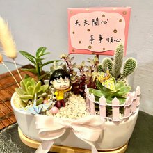 その他観葉植物 NORUTO ナルト砂滝我愛羅多肉植物グループポットマイクロ風景鉢植え多肉