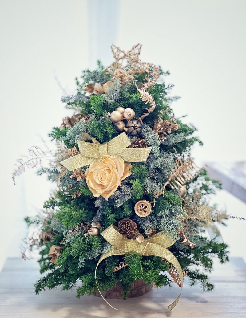 [Class for one person] Brilliant Gold Fan’s Eternal Christmas Tree Hand-making Class - Plants & Floral Arrangement - Plants & Flowers 