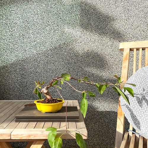 野趣小品盆栽 Rustic Charm Bonsai 小品盆栽-垂絲海棠 盆景