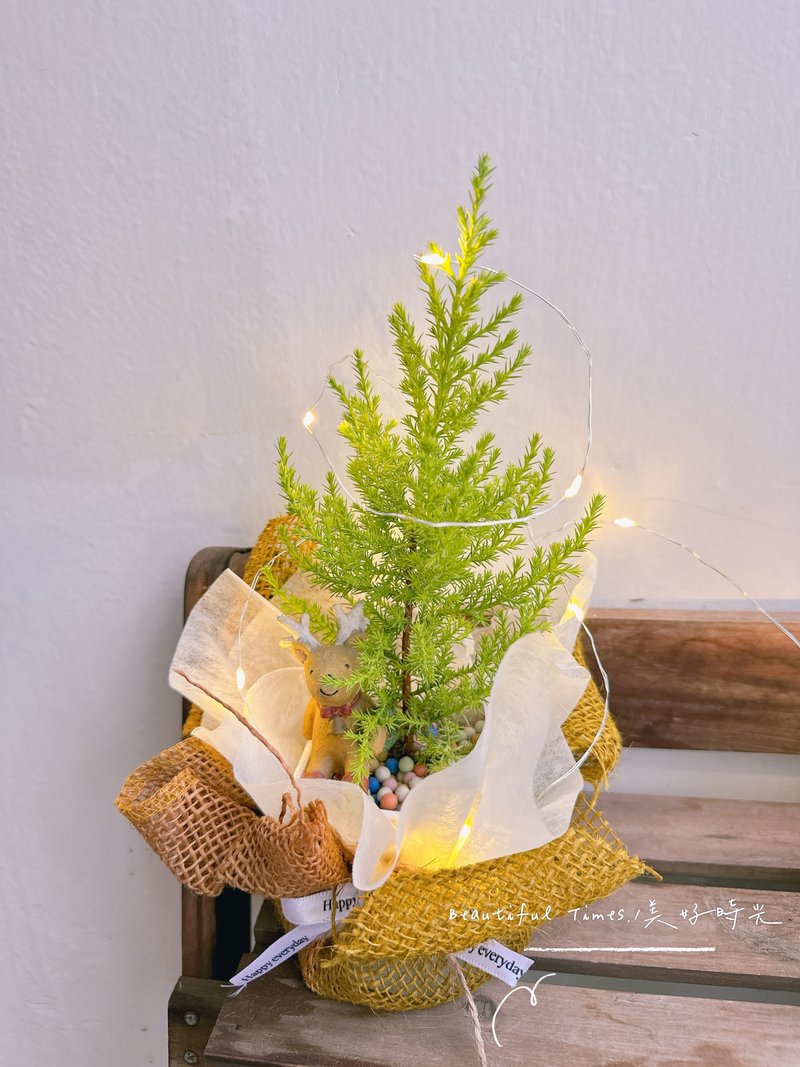 季節限定預購中 | 質感療癒-香冠柏小聖誕樹盆栽、交換禮物 - 盆栽/植栽 - 植物．花 綠色