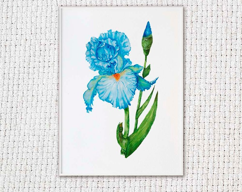 Blue iris flower_Art Watercolor drawing_by artist_download and print