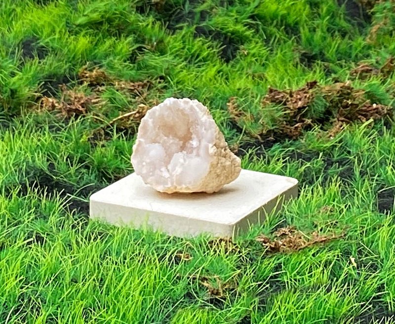 能量擺飾-招財可愛貝殼瑪瑙小白晶洞 療癒 開運 招財 原礦 聚財 - 擺飾/家飾品 - 水晶 多色